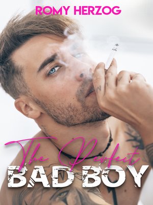 cover image of THE PERFECT BAD BOY